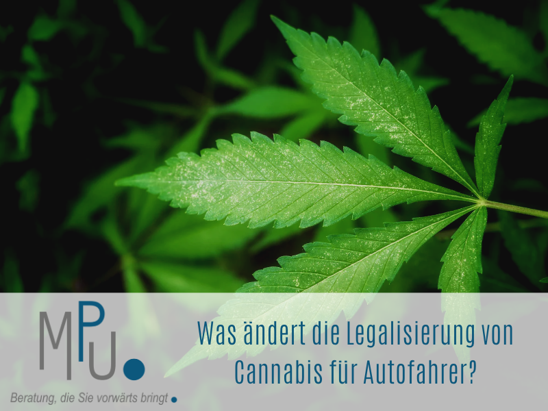 Was ändert die Legalisierung von Cannabis für Autofahrer